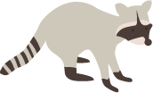 Raton laveur